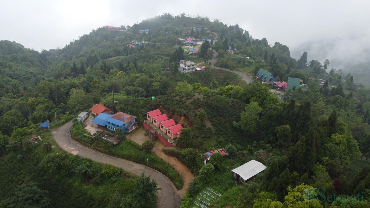 Ilam-antu-dada-(3)-1747896059.jpg
