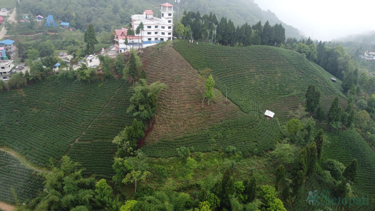 Ilam-antu-dada-(9)-1747896063.jpg