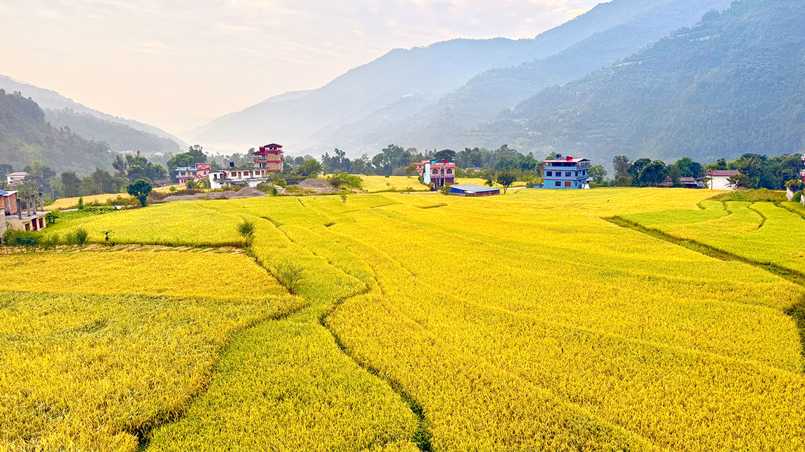 आजका तस्बिर- वैशाख १