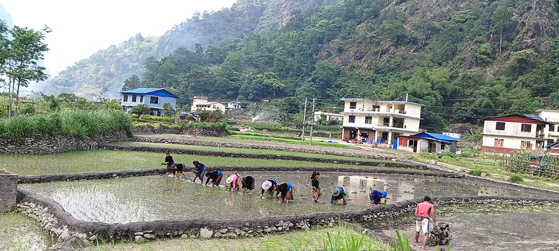 आजका तस्बिर- जेठ २७