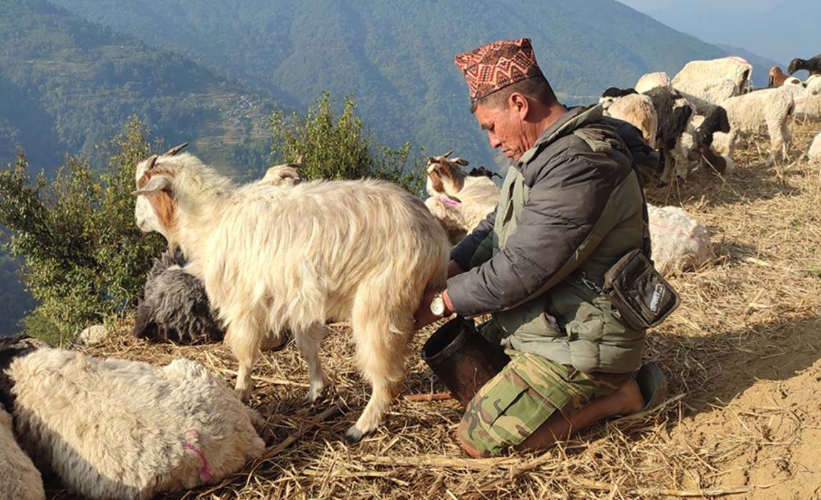 आजका तस्बिर- वैशाख १