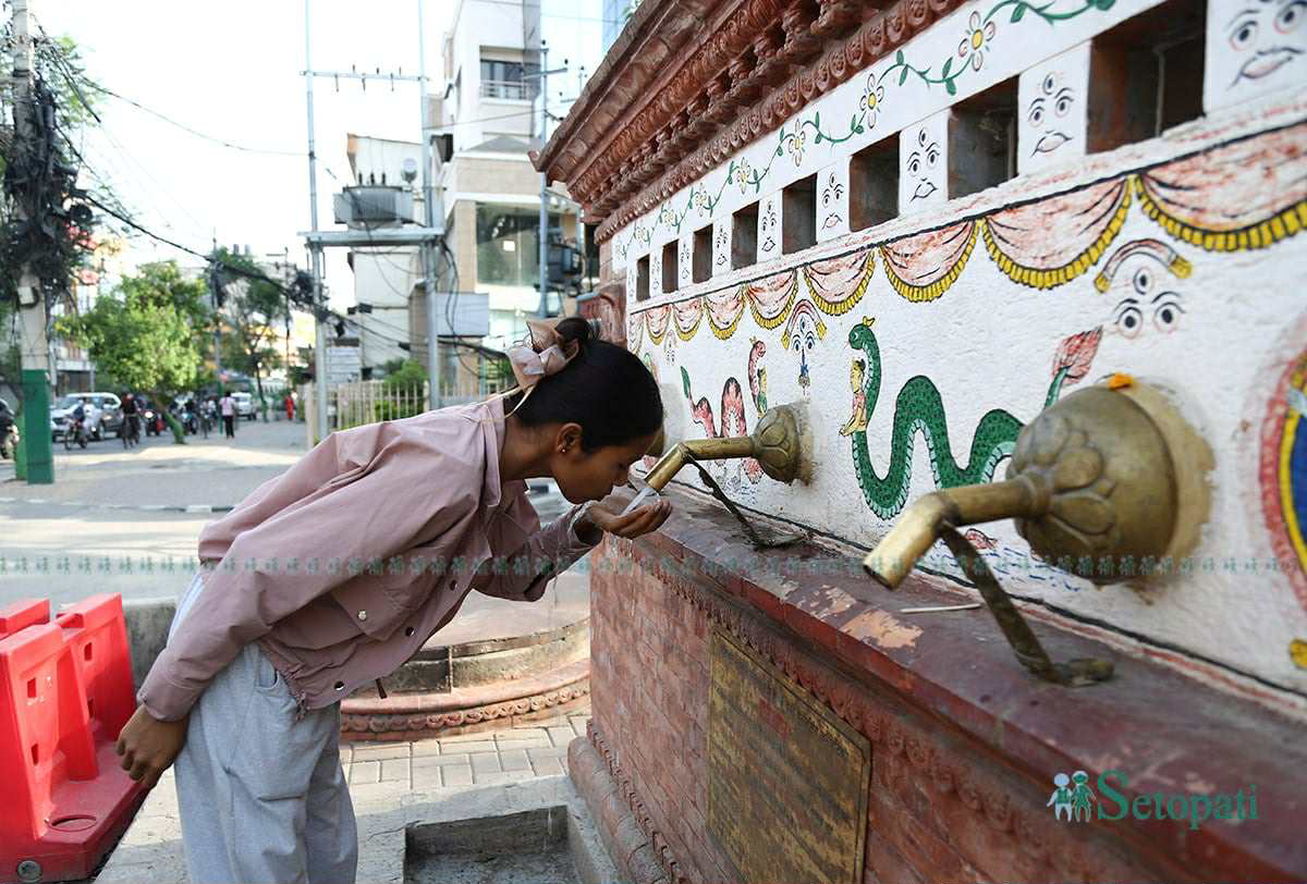 तस्विर : नवीनबाबु गुरुङ/सेतोपाटी