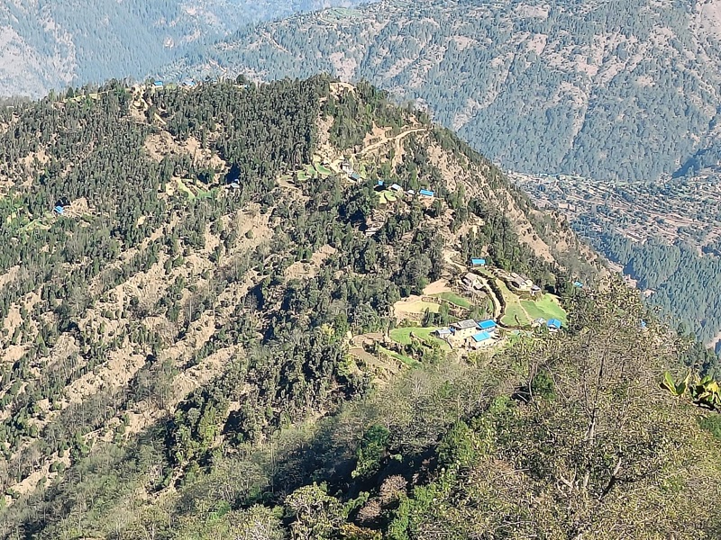 Jumledhupi-(6)-1746956375.jpg