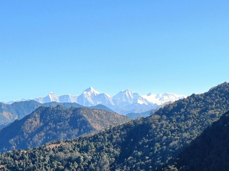 Jumledhupi-(8)-1746956376.jpg
