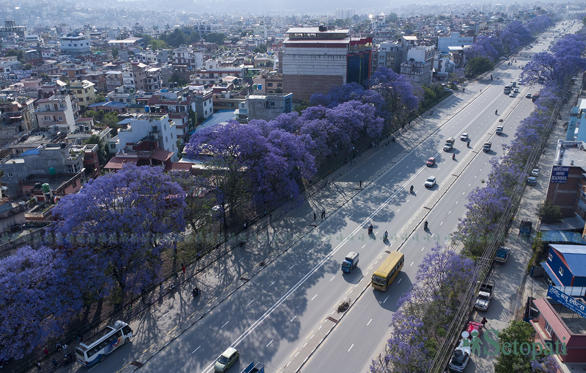 Jyakaranda-lalitpur-(10)-1746506054.jpg
