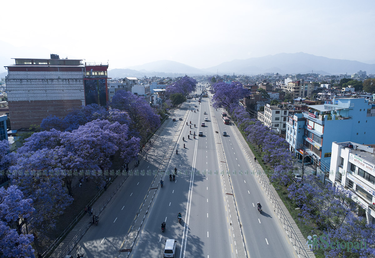 Jyakaranda-lalitpur-(12)-1746506055.jpg