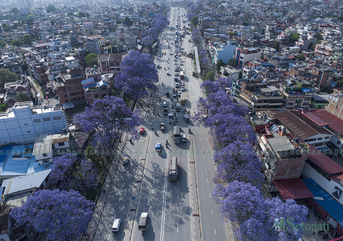 Jyakaranda-lalitpur-(13)-1746506055.jpg