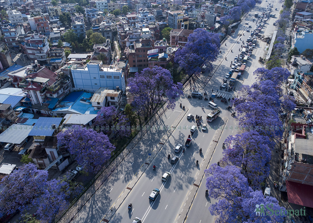 Jyakaranda-lalitpur-(15)-1746506056.jpg