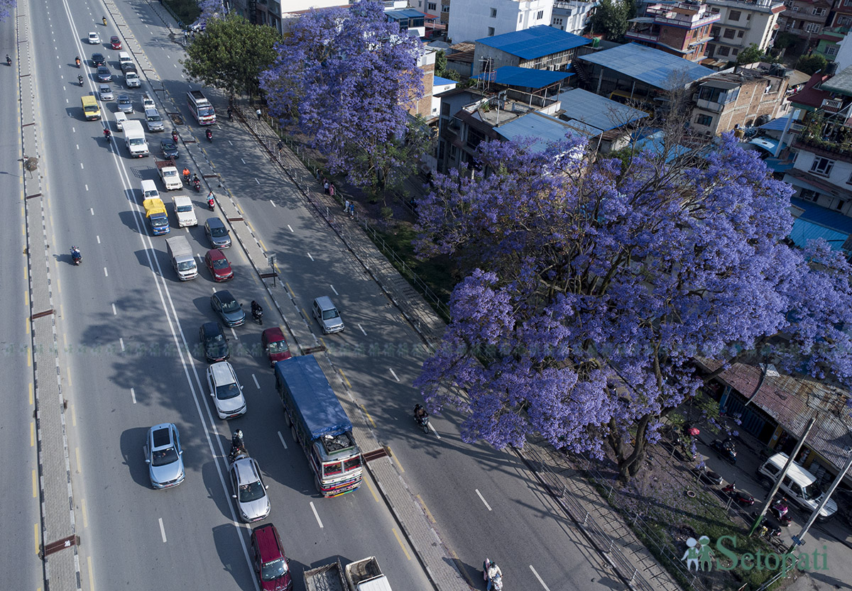 Jyakaranda-lalitpur-(7)-1746506054.jpg