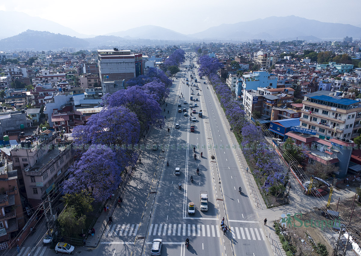 Jyakaranda-lalitpur-(9)-1746506054.jpg