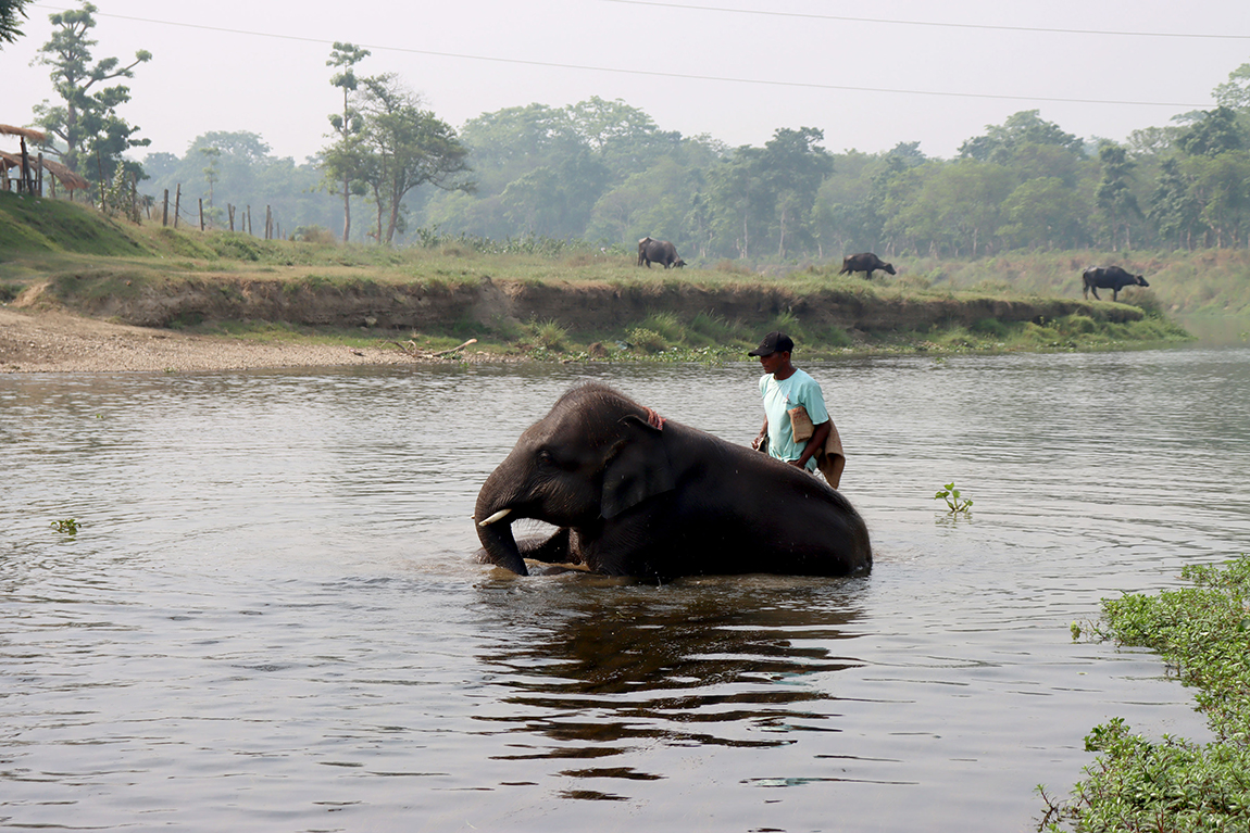 आजका तस्बिर- वैशाख १०