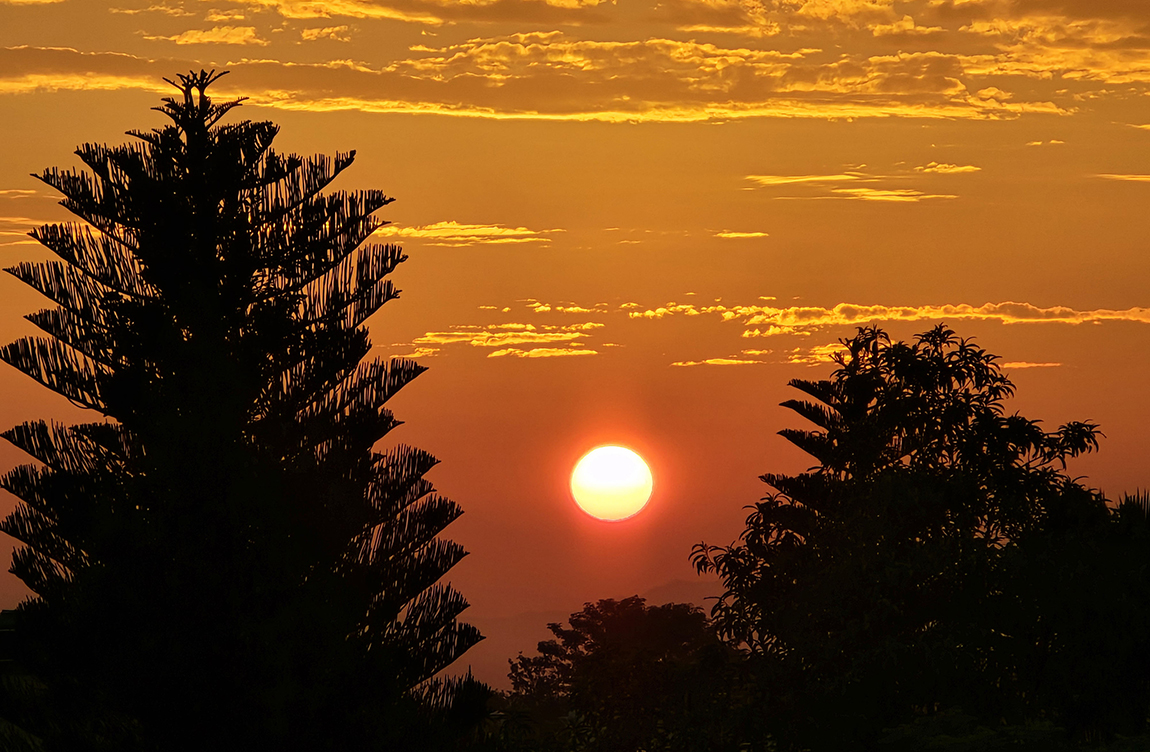 आजका तस्बिर- असोज २२