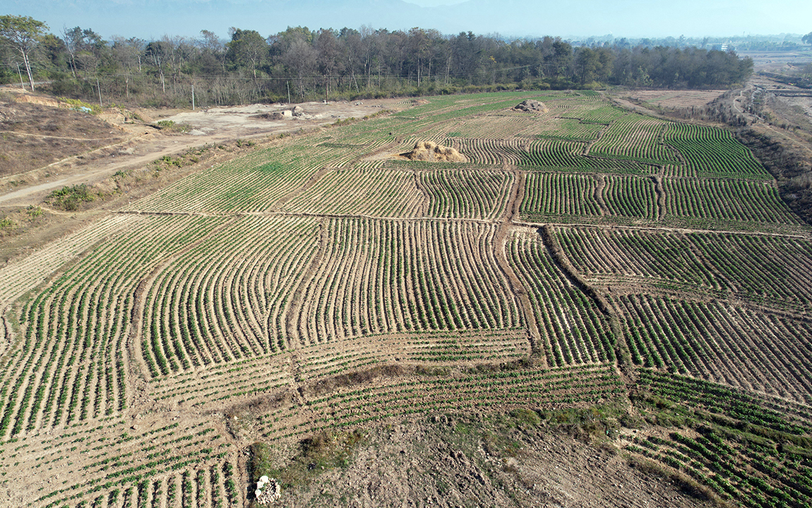 आजका तस्बिर- माघ २६