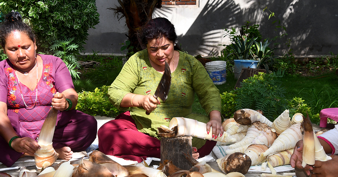 आजका तस्बिर- मंसिर १२