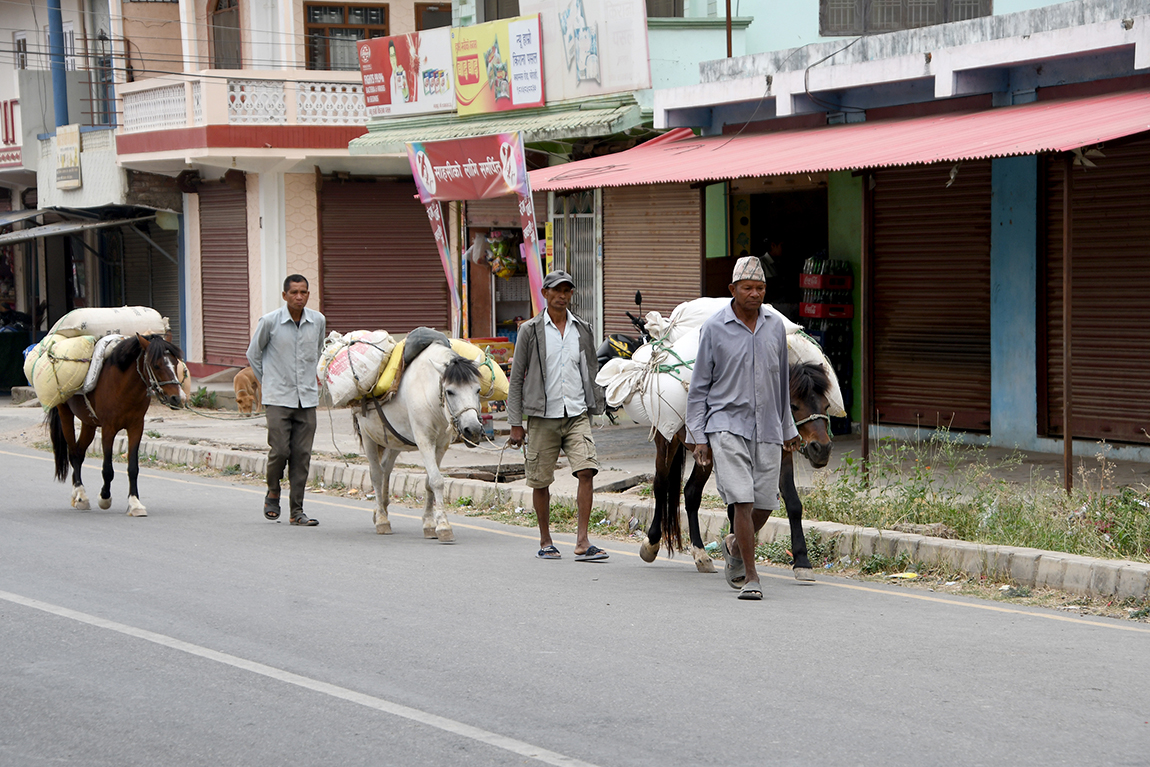 आजका तस्बिर- वैशाख २५