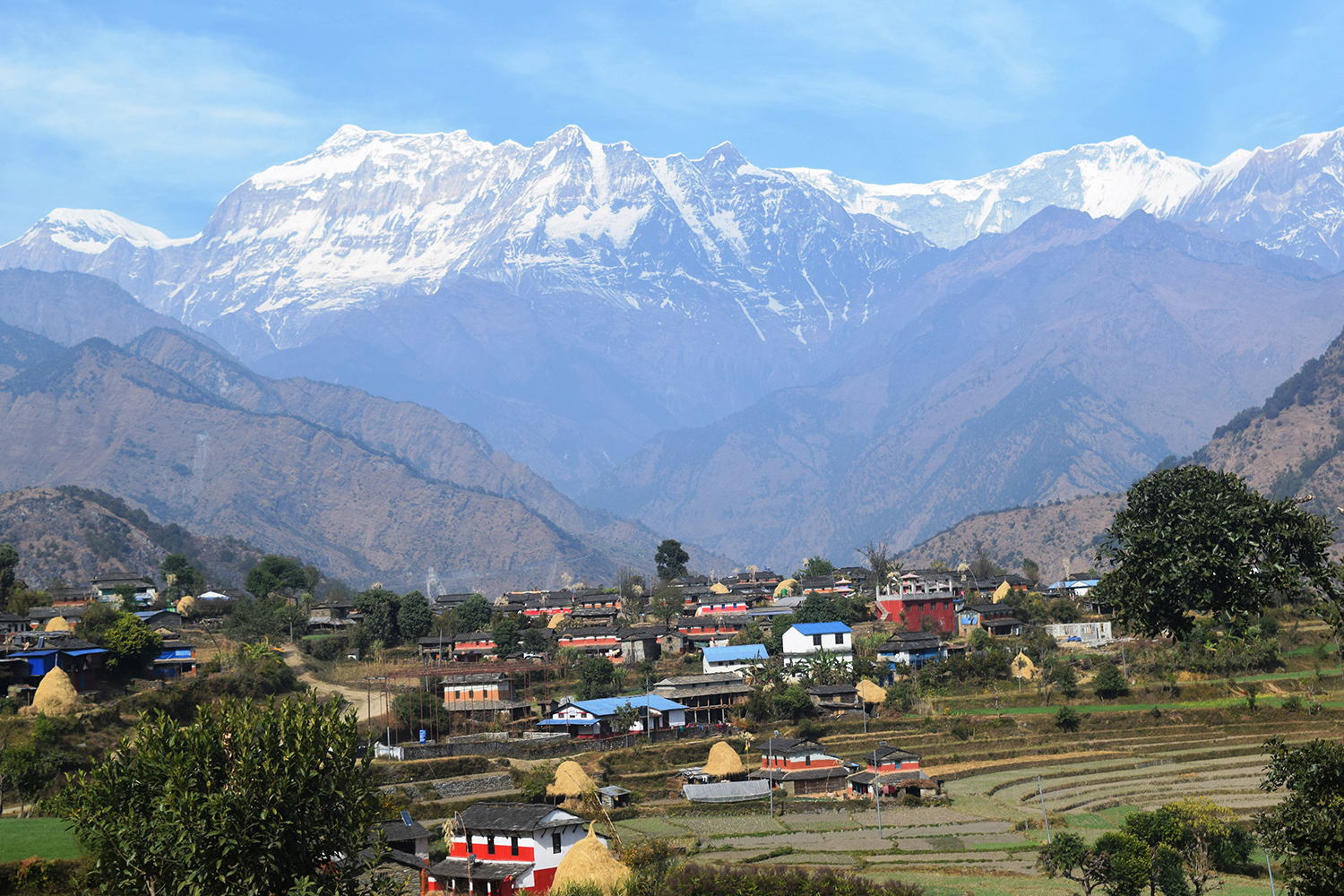 आजका तस्बिर- पुस १८