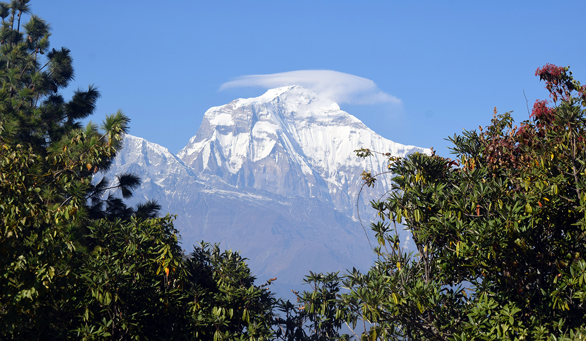 आजका तस्बिर- मंसिर २०