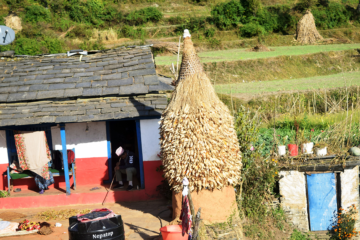 आजका तस्बिर- मंसिर २०
