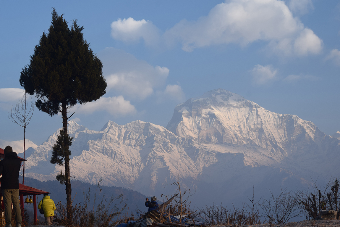 आजका तस्बिर- माघ २४