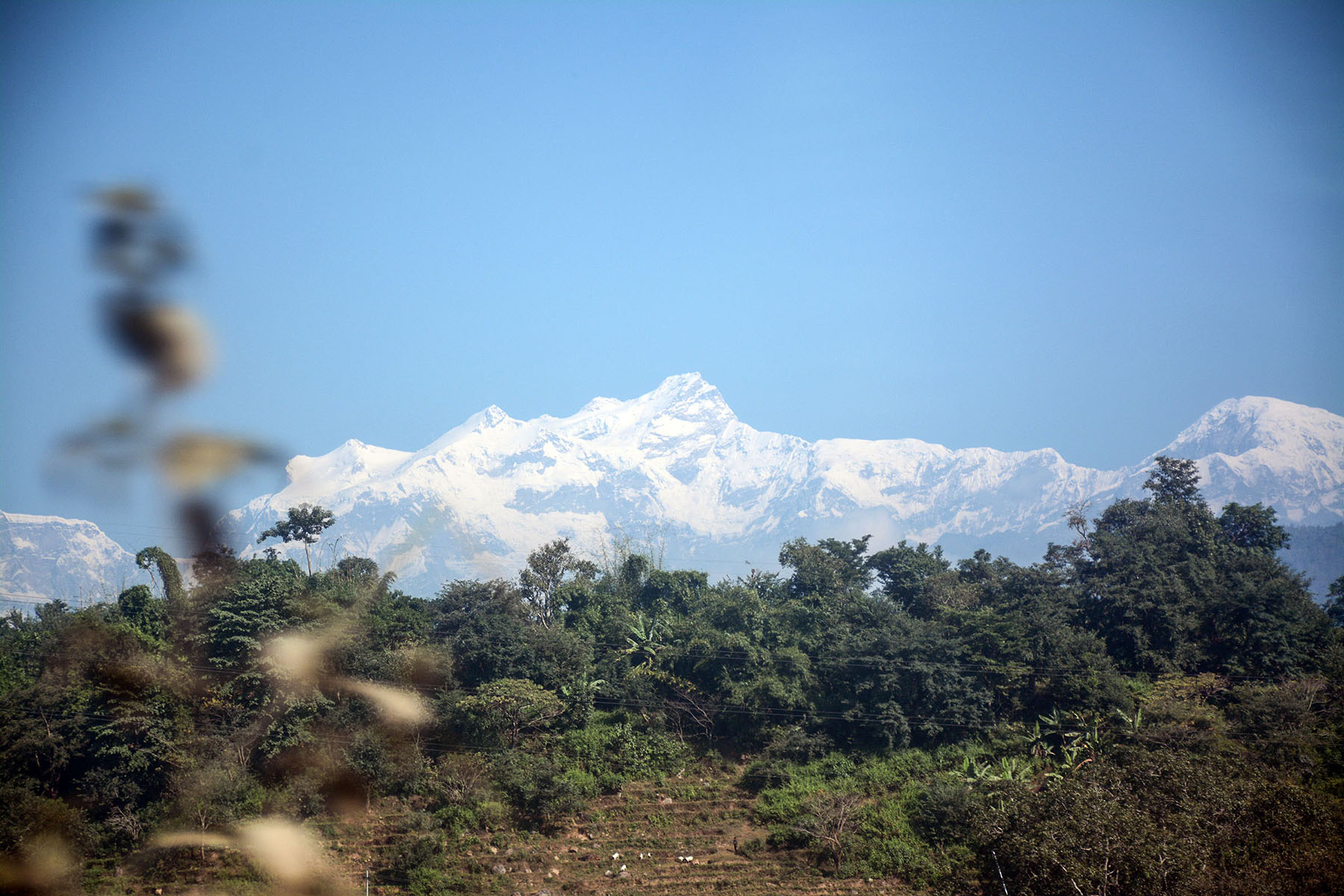 आजका तस्बिर- मंसिर २९