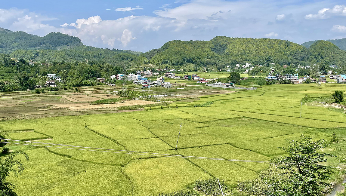 आजका तस्बिर- जेठ २४