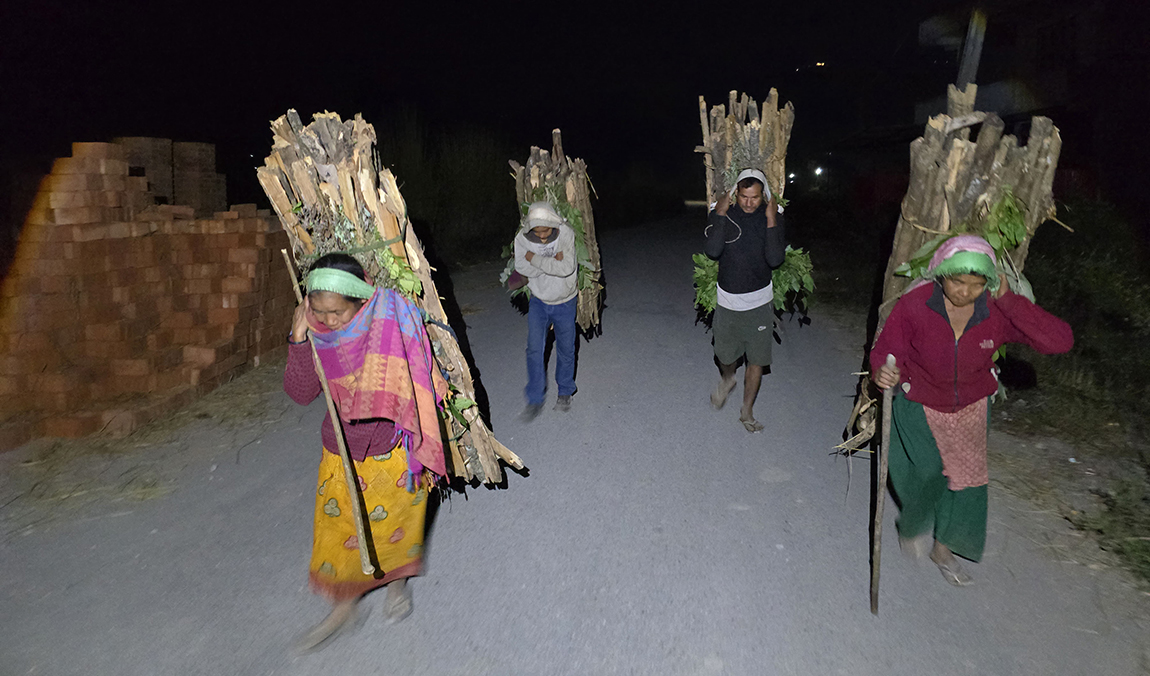 आजका तस्बिर- मंसिर १८