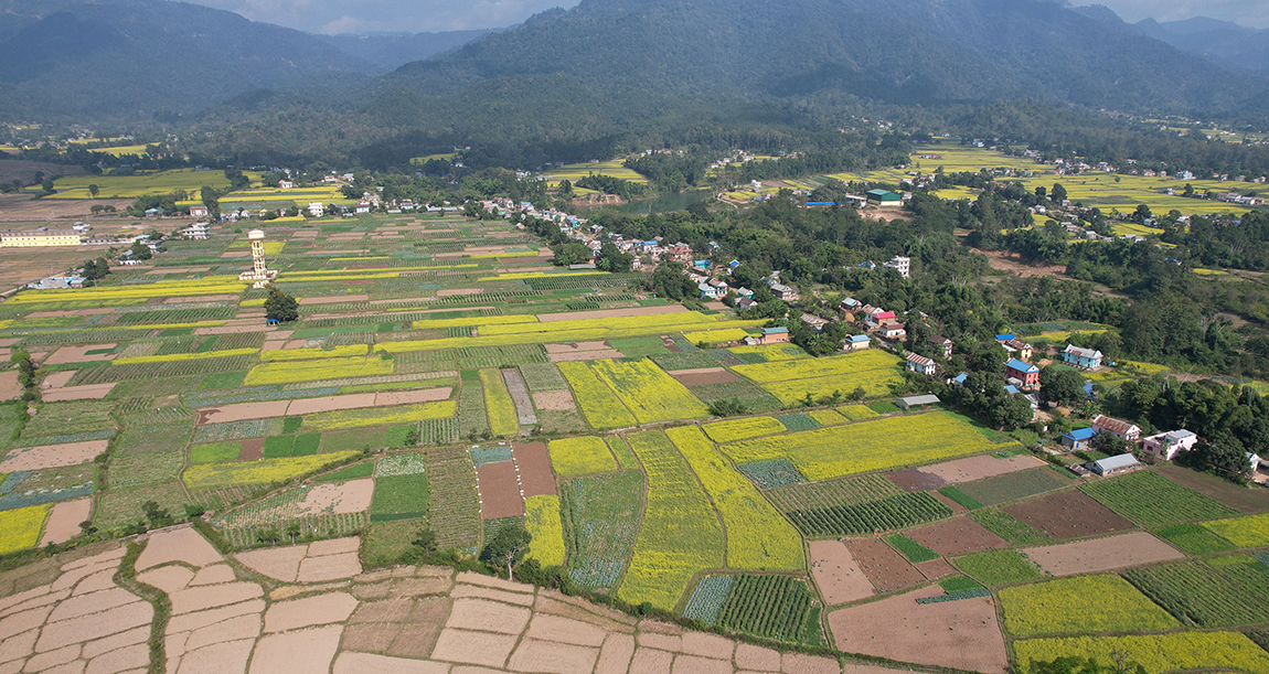 आजका तस्बिर- मंसिर १०