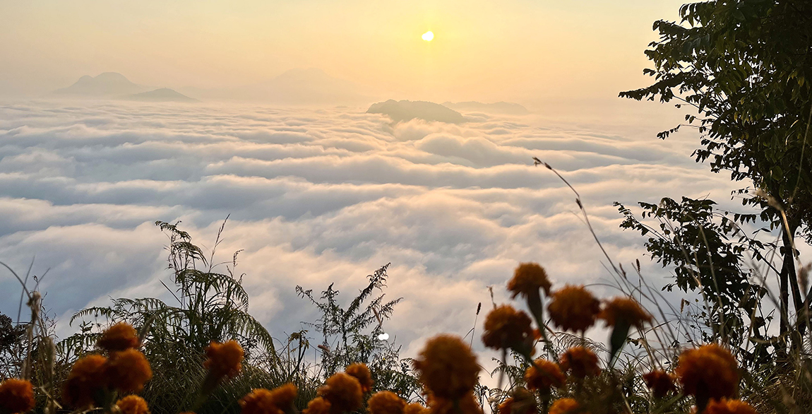 आजका तस्बिर- पुस १२
