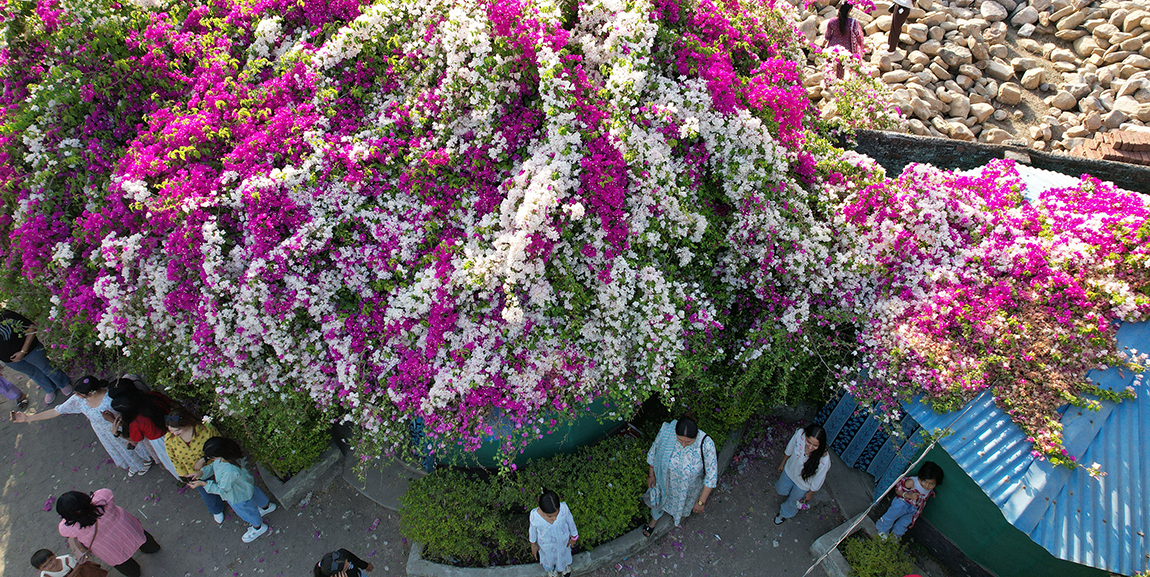 आजका तस्बिर- चैत १७