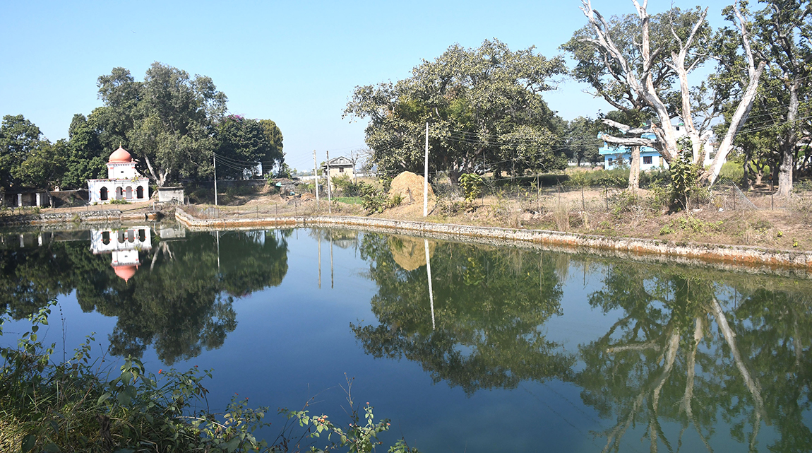 दाङको घोराही उपमहानगरपालिका–१७ स्थित घनिबग्गेमा करिब एक बिगाहा क्षेत्रफलमा फैलिएको कमल पोखरी र शिवालय मन्दिर। तस्बिर: कुलदीप न्यौपाने / रासस