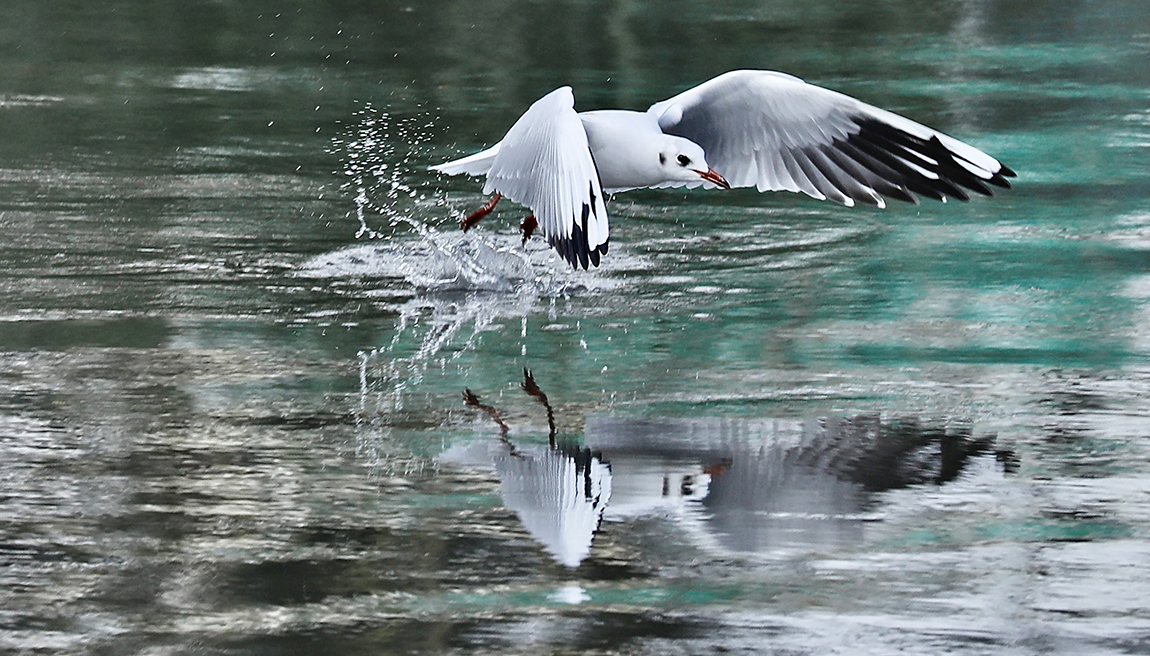 आजका तस्बिर- वैशाख १