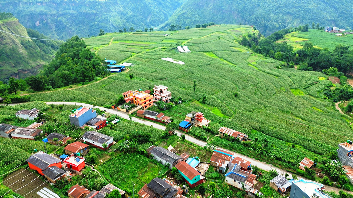 आजका तस्बिर- असार २६