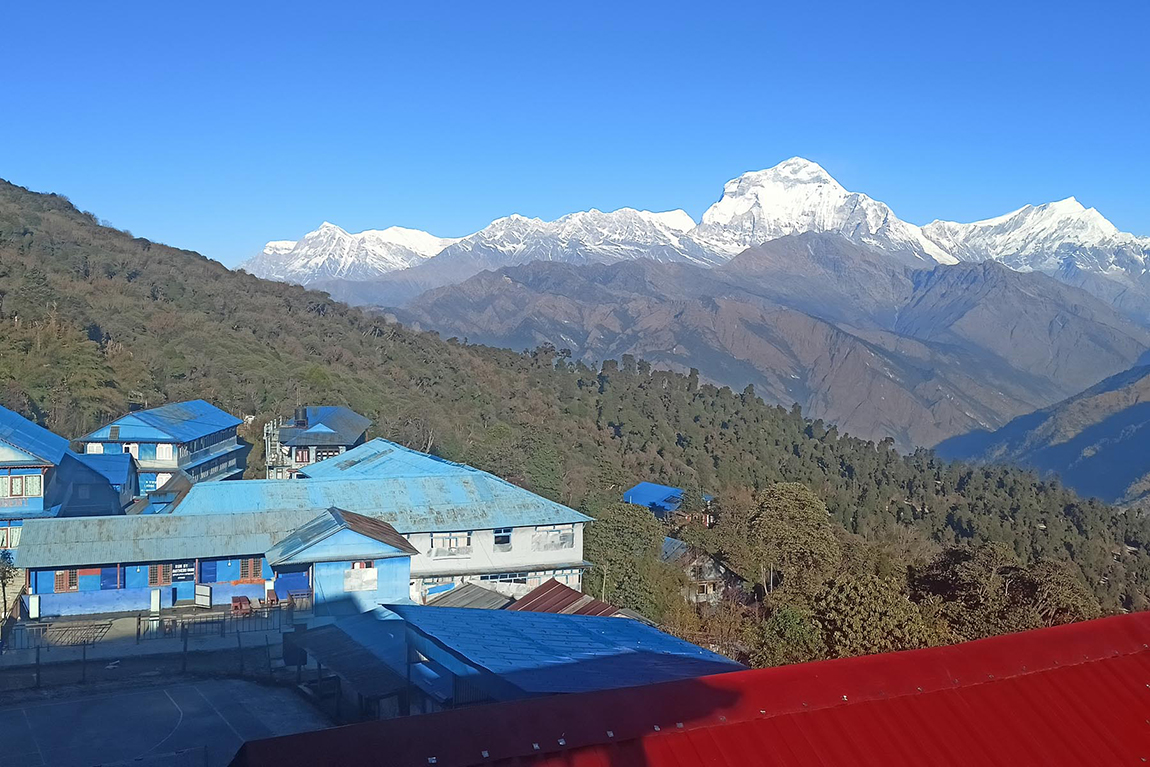 आजका तस्बिर- मंसिर १९