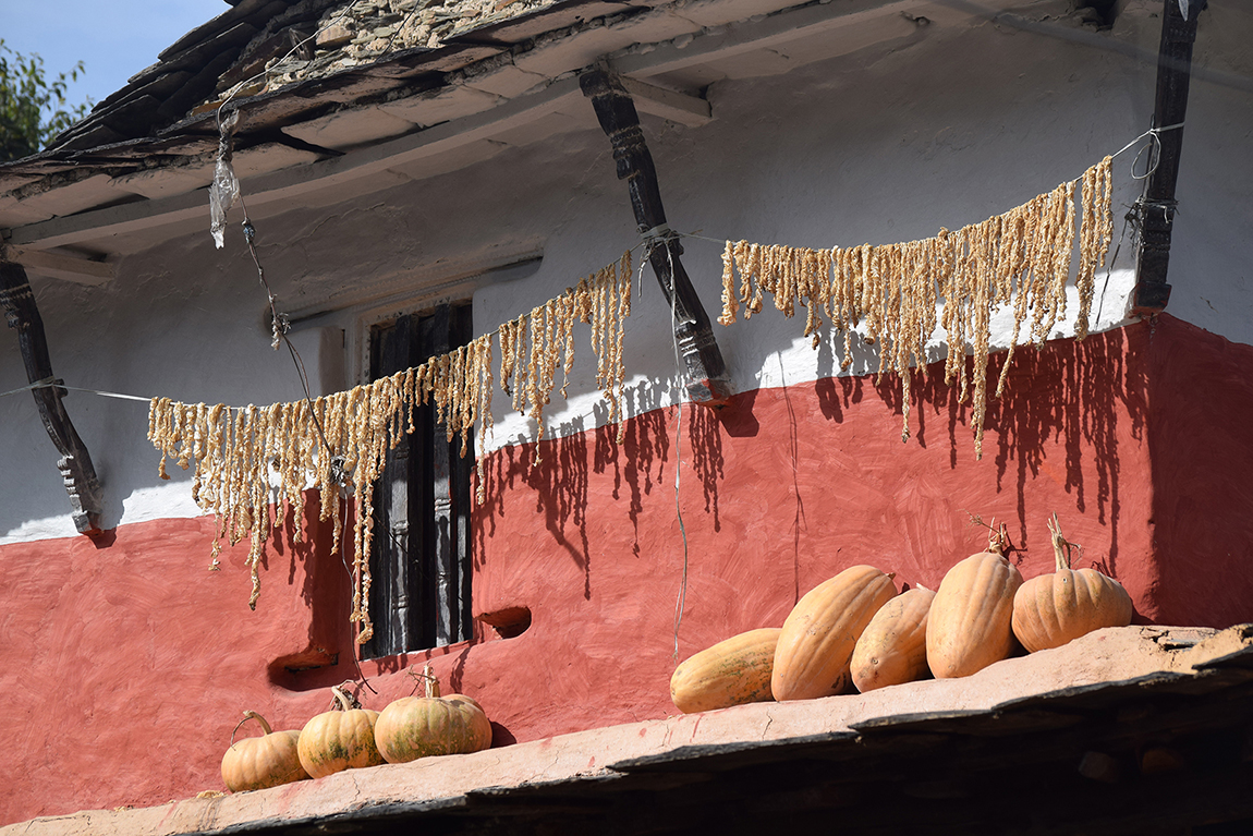 आजका तस्बिर- पुस २८