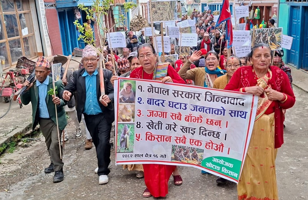 बाँदर नियन्त्रण माग गर्दै खोटाङका किसानको प्रदर्शन, बाली जोगाउन सरकारसँग अपिल