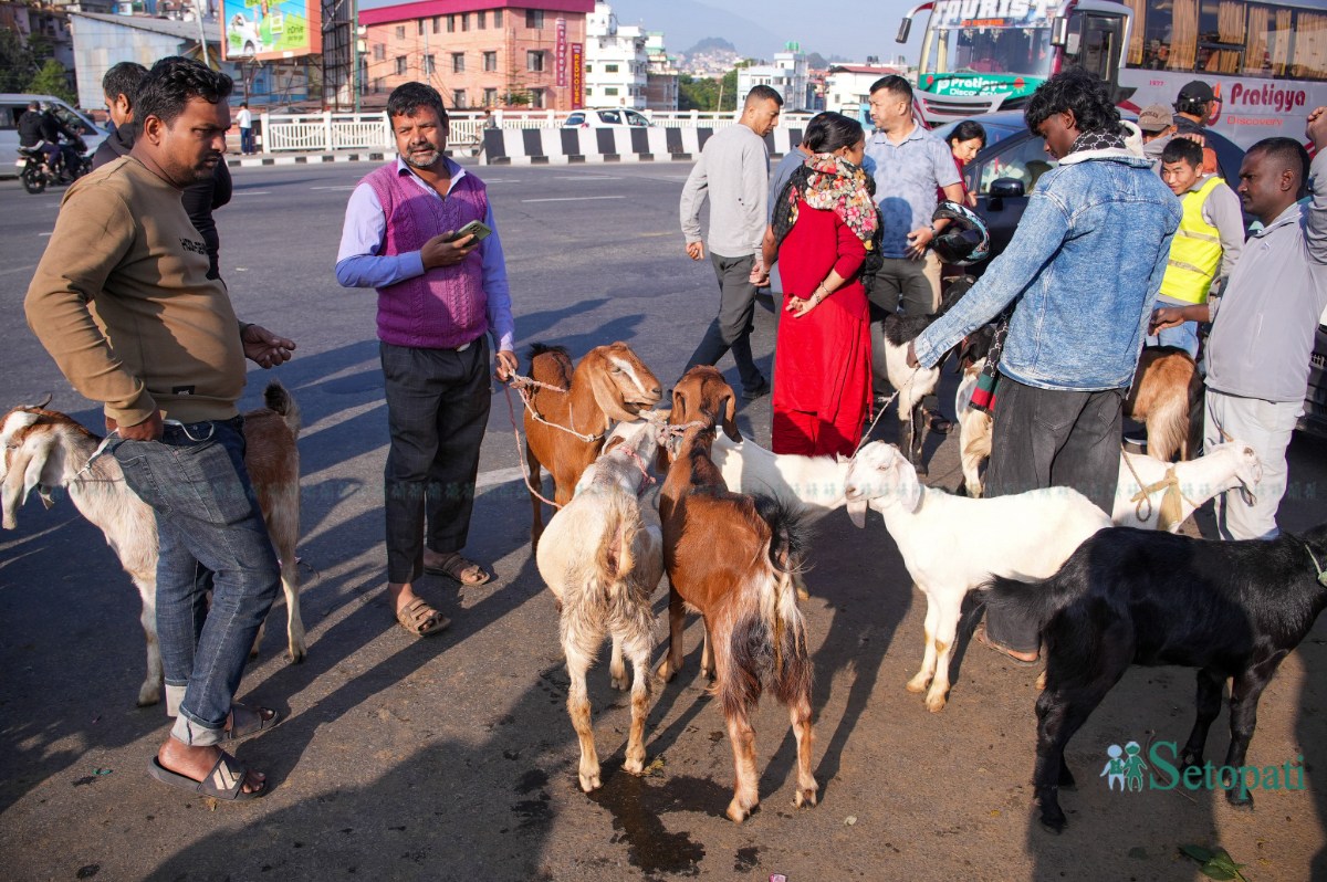 Khasi-Boka-Market--2273-ink-1792291860.jpeg