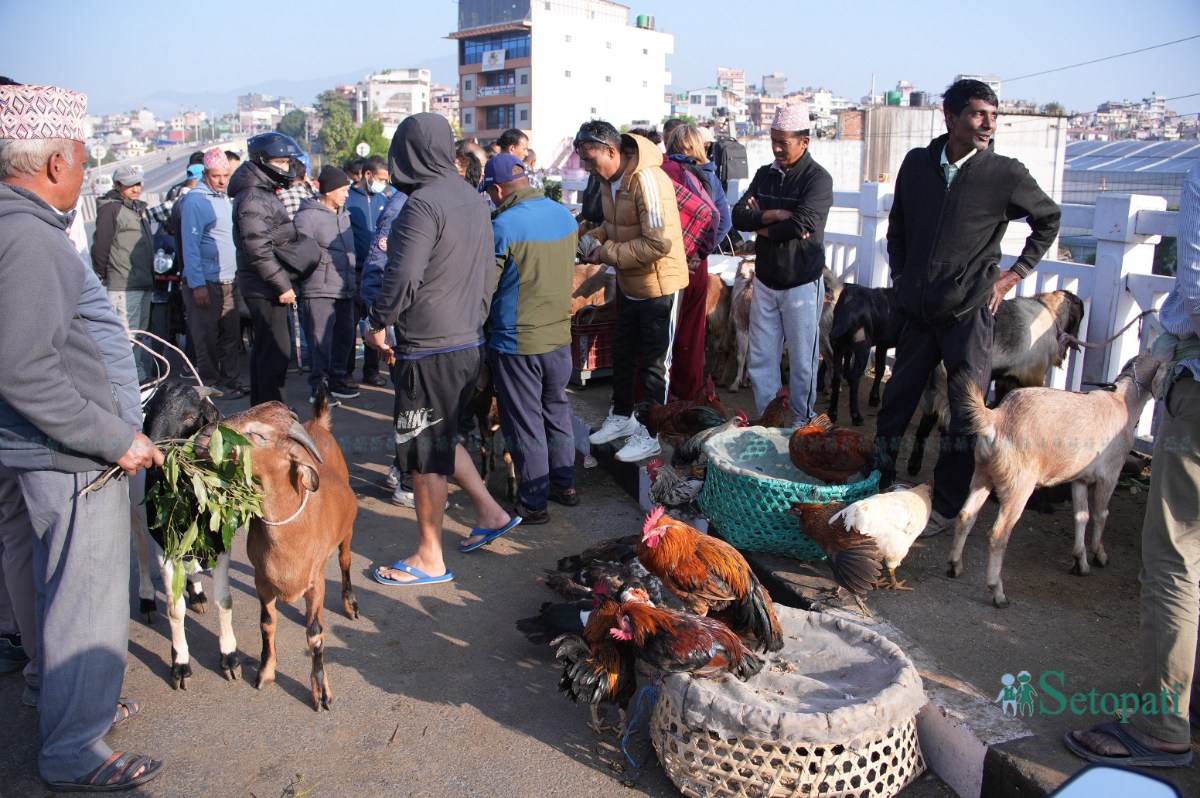 Khasi-Boka-Market--2274-ink-1792291860.jpeg