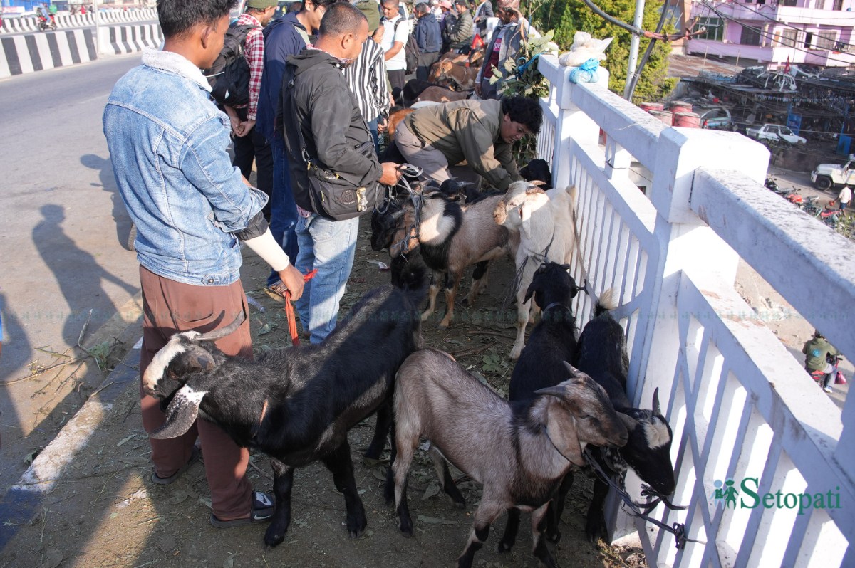Khasi-Boka-Market--2275-ink-1792291861.jpeg