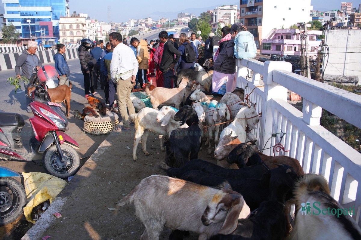 Khasi-Boka-Market--2277-ink-1792291861.jpeg