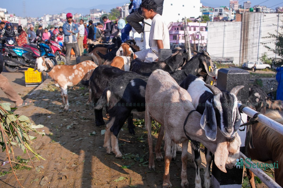 Khasi-Boka-Market--2279-ink-1792291861.jpeg