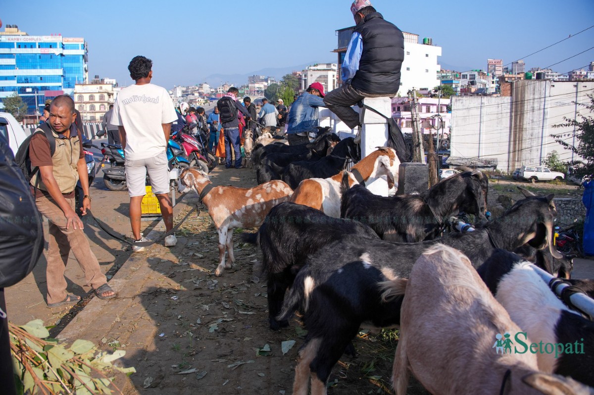 Khasi-Boka-Market--2281-ink-1792291862.jpeg