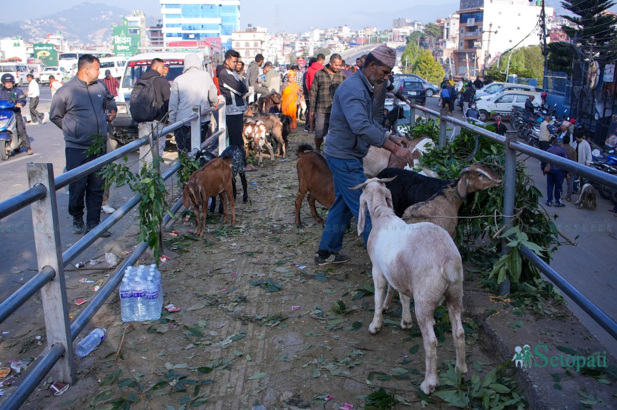 Khasi-Boka-Market--2282-ink-1792291862.jpeg