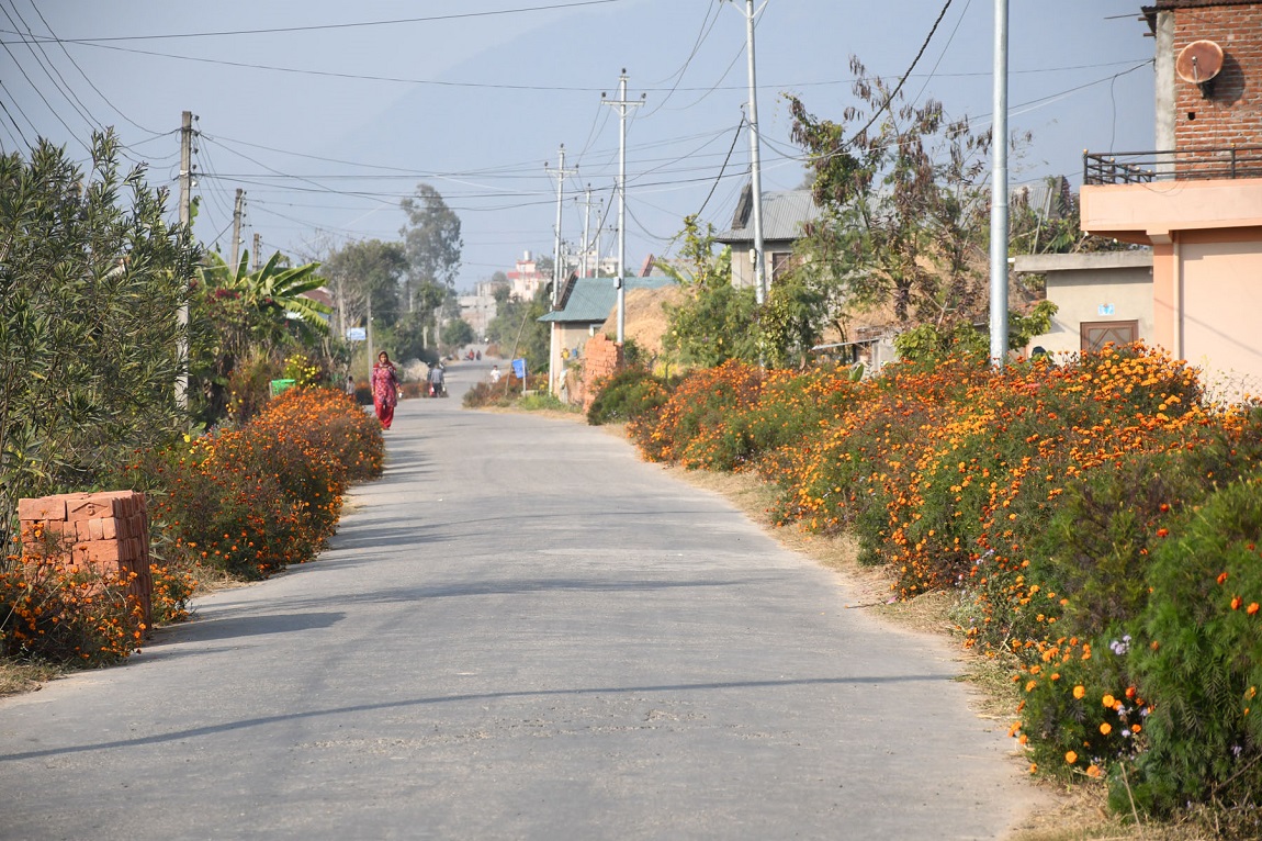 आजका तस्बिर: फागुन ६