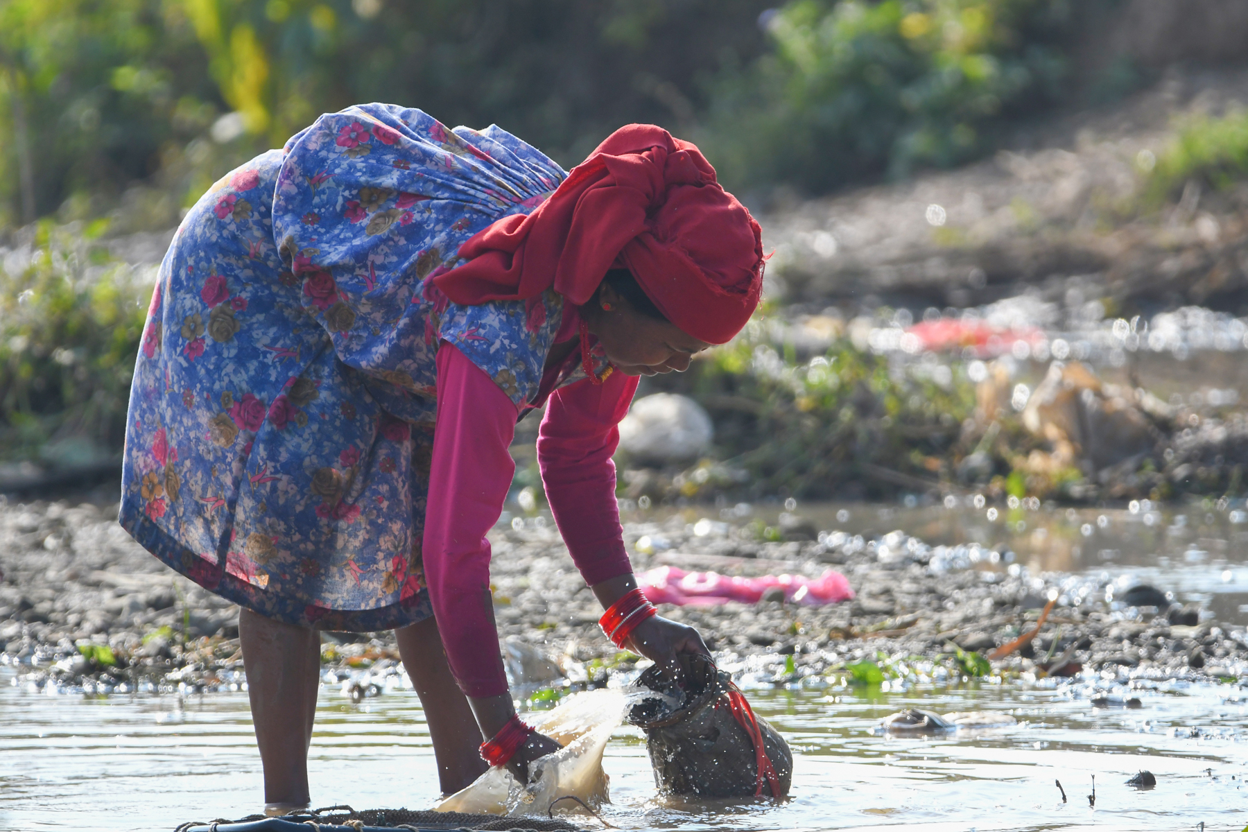 आजका तस्बिर- पुस ८