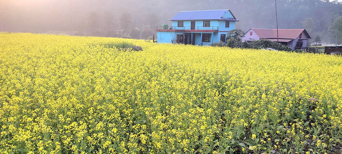 आजका तस्बिर- पुस २