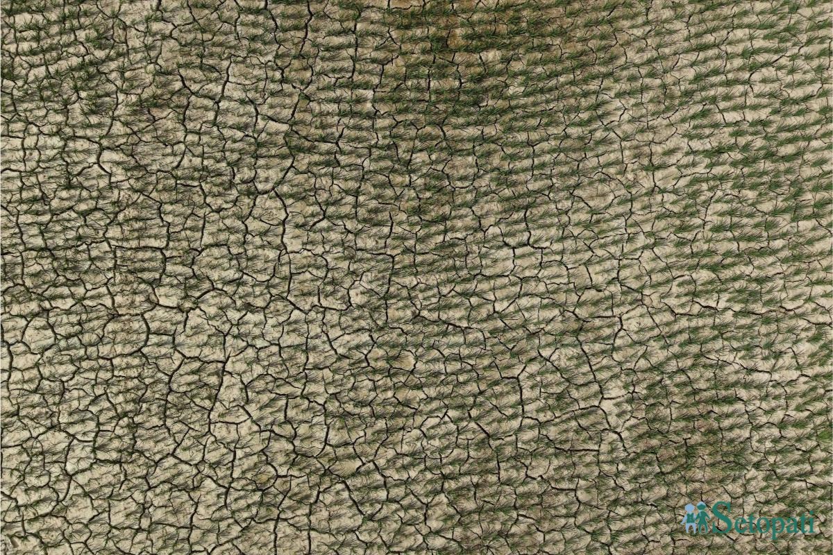 Mahotari_Matihani-Gaun_BS_1235-(1)-ink-1753507978.jpeg