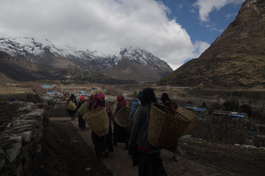 Manashlu-Trek-(11)-1779617140.jpg