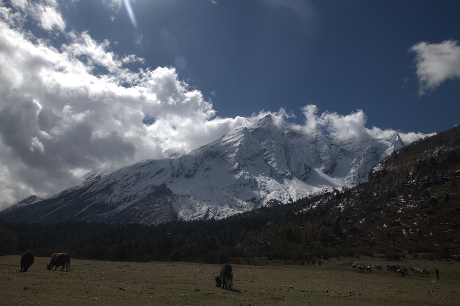 Manashlu-Trek-(3)-1779617145.jpg