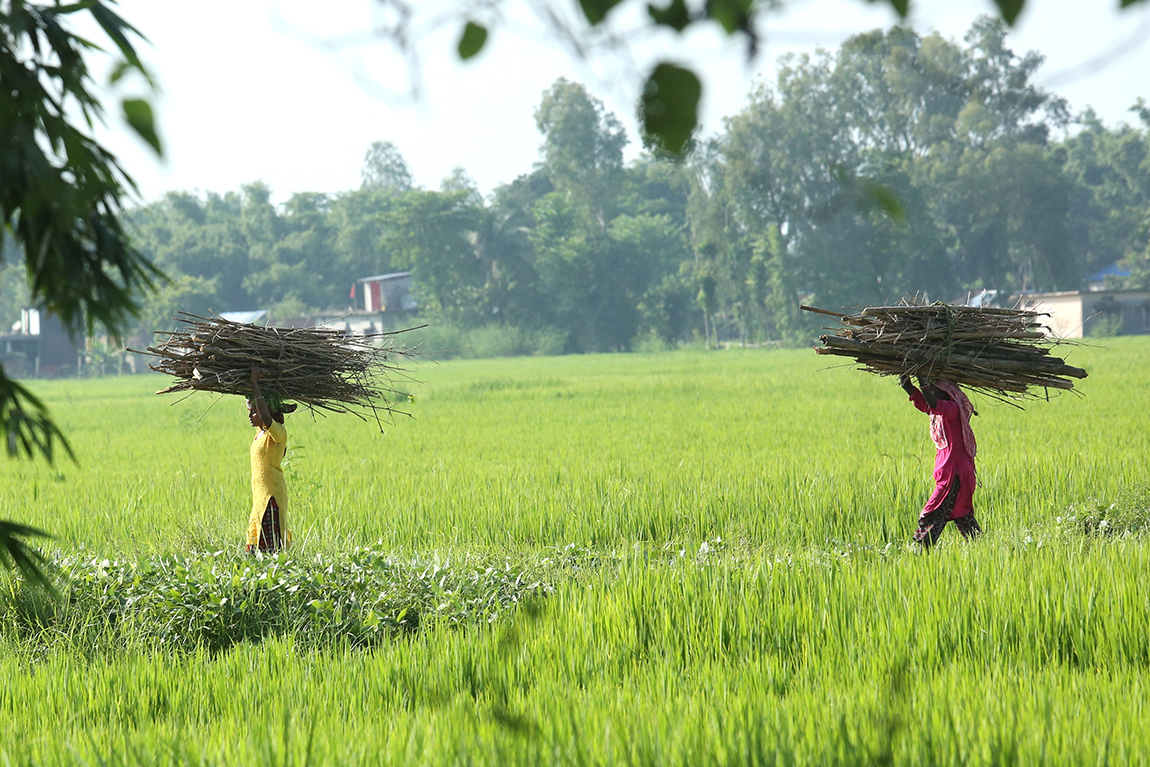 आजका तस्बिर- असोज २७