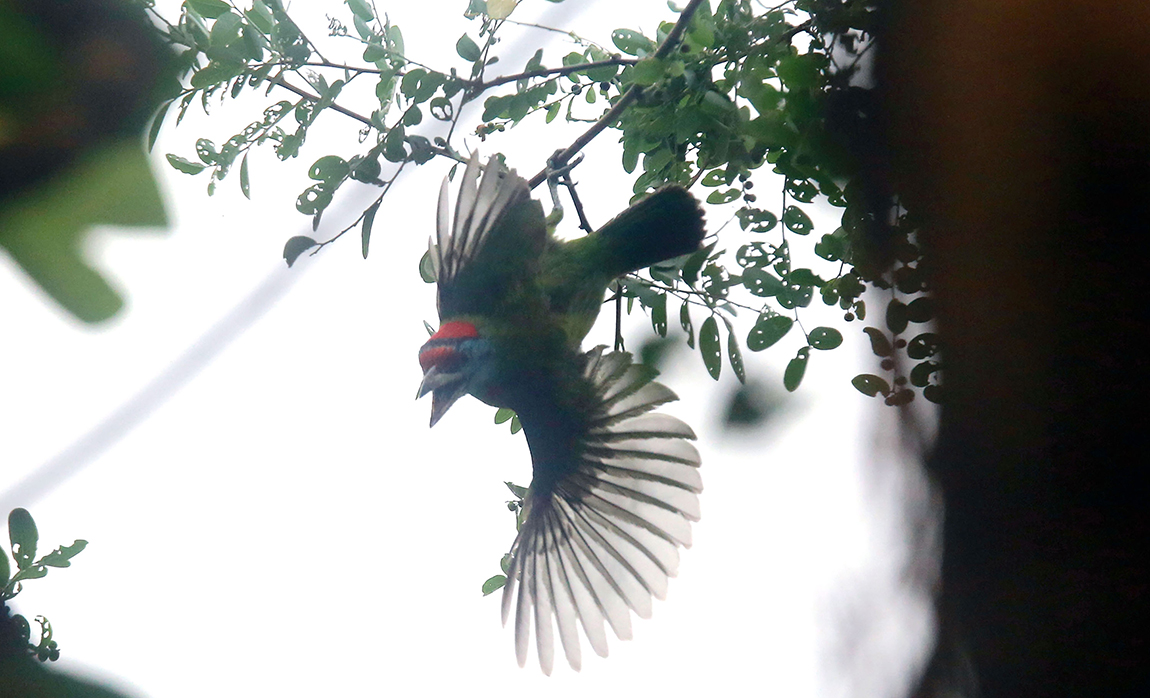 आजका तस्बिर- जेठ ३०